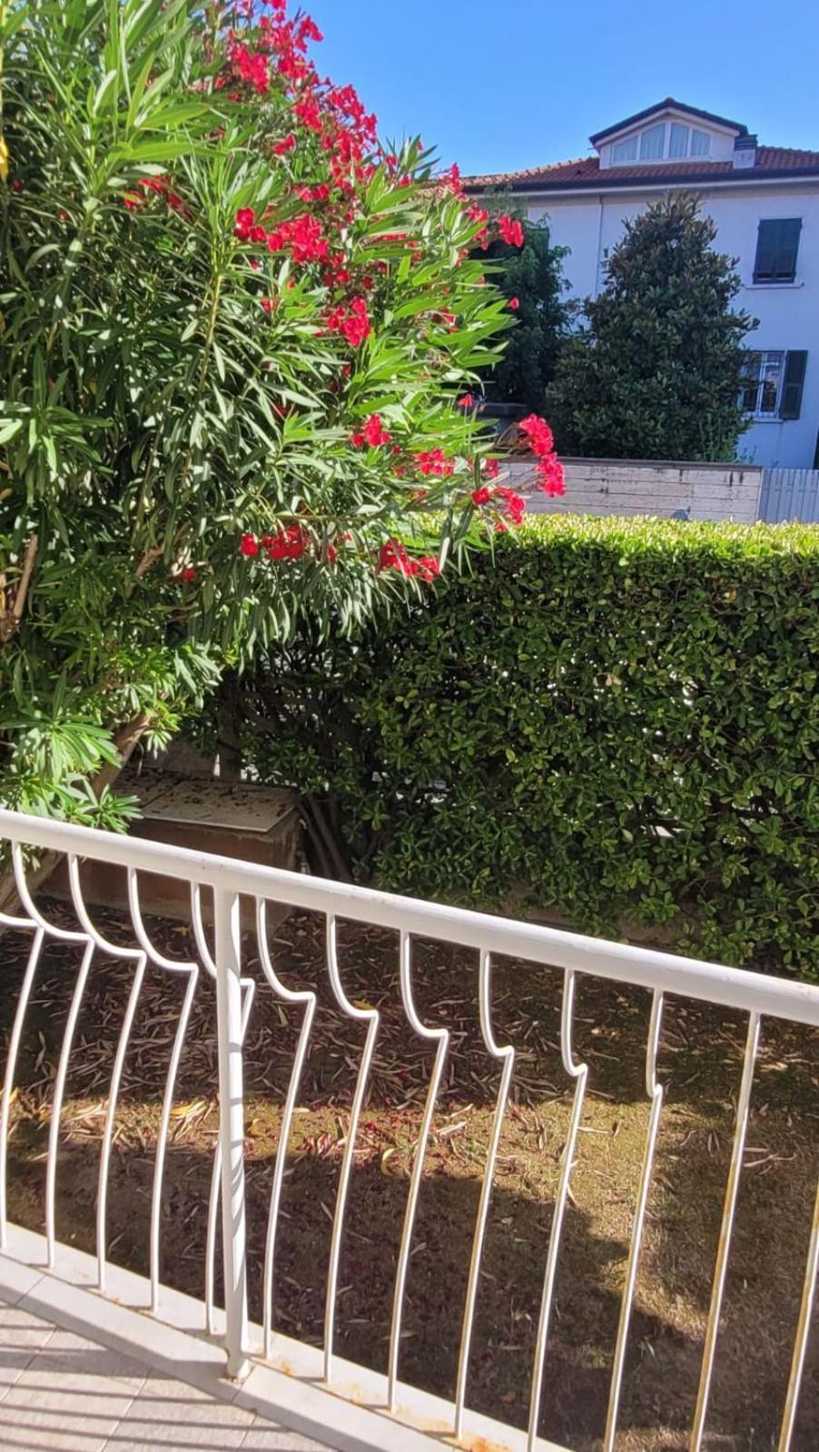 Appartamento Stella Marina A Due Passi Dal Mare E Dal Centro Marina di Carrara Kültér fotó
